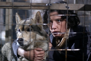 ����� �� ������. � ���� ������� - ������� ���������